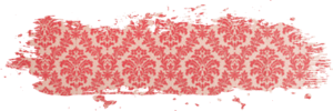 Wallpaper Removal Expert