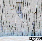 Storm Damage Figure 2